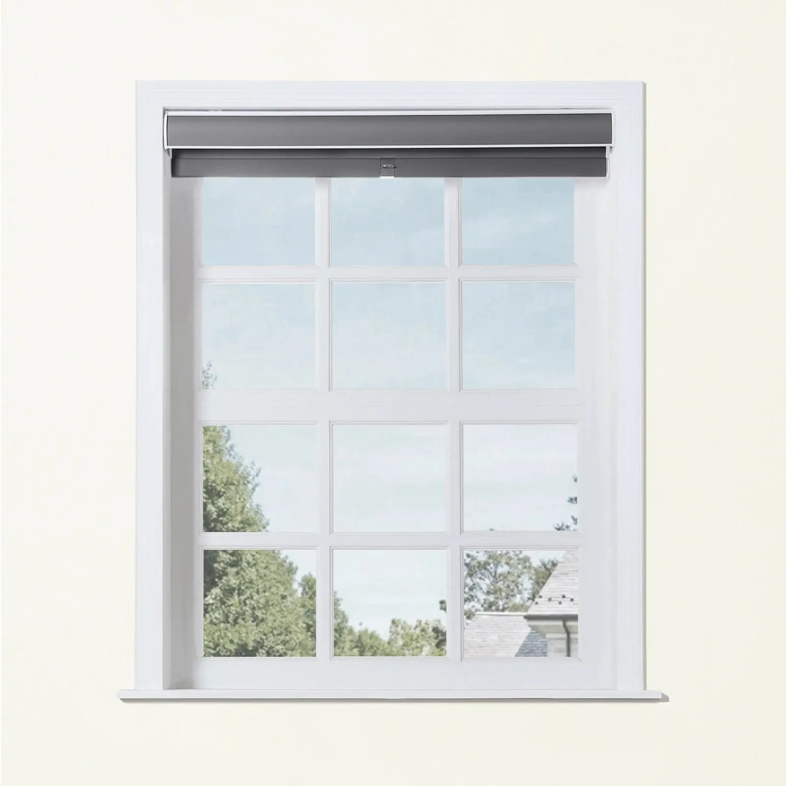 Product image 100
